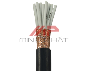 minhphat65-day-dieu-khien-sangjin-co-luoi-30x125mm2-2869